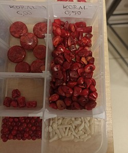 Koral biały i czerwony